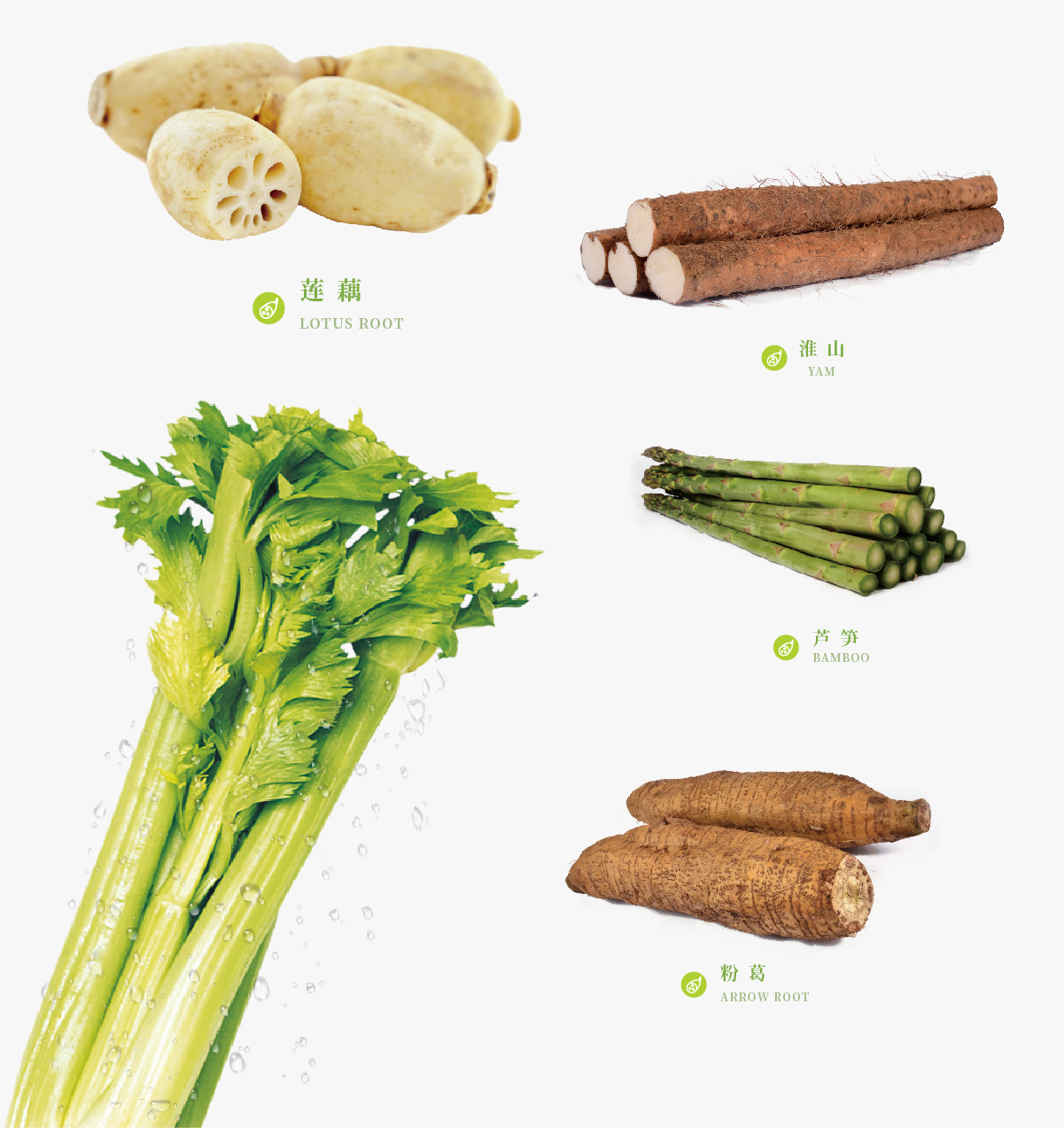 茎叶类蔬菜有哪些种类（常见的根茎蔬菜名称大全图） - 生活 - 布条百科